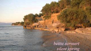 Watch Bettie Serveert Silent Spring video