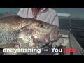 Andy’s Fishing Channel: Australian Fishing Adventures” Trailer4