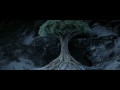 animations
