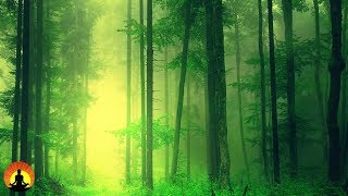 Meditatie en genezingsmuziek, Ontspanningsmuziek, Rustgevende, Stress Verlichtende Muziek, ✿3277C