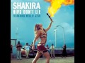 Shakira Hips Don't Lie Audio