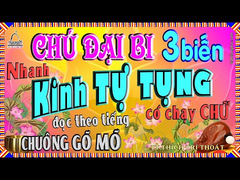 Tụng Chú Đại Bi 3 biến đọc NHANH có CHỮ - Trì theo tiếng MÕ CHUÔNG CHÙA - Ngày ngày gõ mõ tụng kinh