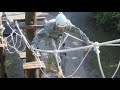 LTC 2013: Cadet Cam: High Ropes Course