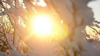 Очень Красивое Видео #1 Зима