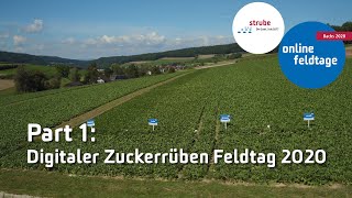Feldtage online 2020 Part 1: Digitaler Zuckerrüben Feldtag 2020