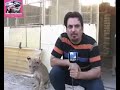 يا خواف
