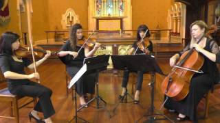 Pachelbel Canon Pachelbel By Amicus String Quartet Pachelbel Canon Pachelbel By Amicus String Quartet