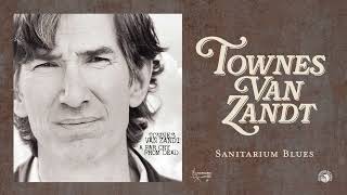 Watch Townes Van Zandt Sanitarium Blues video