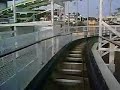 Swamp Fox POV - Family Kingdom