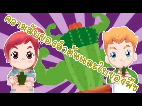 วิทยาศาสตร์ ป.1 Plant ลักษณะและหน้าที่ส่วนต่างๆ ของพืช(Life Science) Lipda pola EP.40 ความลับของพืช