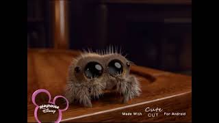 Fake Lucas The Spider On Playhouse Disney France October 13Th 2009