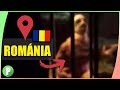 Brutális Videók A YouTube-ról
