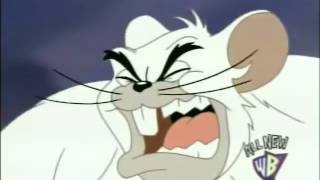 Tom And Jerry Snow Mouse 2007