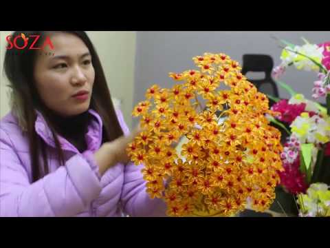 Hương Dẫn Cách Làm Hoa Kim Tiền Lộc Tại SOZA™