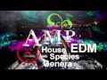AMP - House ilk Species Genera EDM