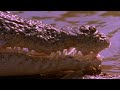 Online Movie Crocodile Dundee in Los Angeles (2001) Free Online Movie