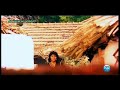 Aaradi suvaruthan asaiya tamil 5.1 hd video song 🎸🎸🎸//Ilayaraja hits