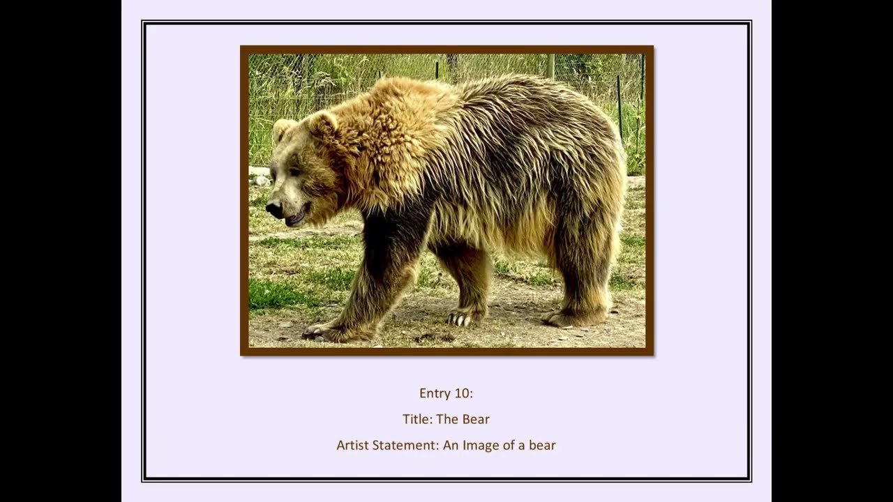 International Online Art Competition - Wildlife Photography