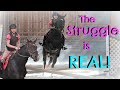 THE STRUGGLE IS REAL! Day 120 (04/30/18) THE STRUGGLE IS REAL! Day 120 (04/30/18)
