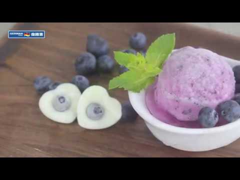 Cold Press Juicer Recipe:BlueberryYougurt Sorbet