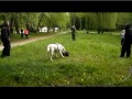 ЗКС. Охрана вещи и задержание. 