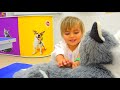 What do you do - funny song for kids by Olivia Vlog