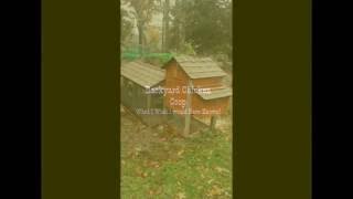 Backyard Chicken Coop Planning, Design, & Considerations