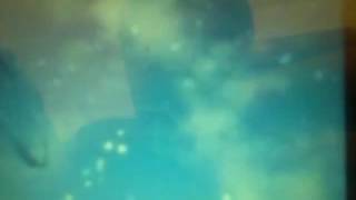 Shadow Projectsdisney Channel Original 19972007
