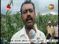 Sirasa News 1st 10.00 - 26/01/2017