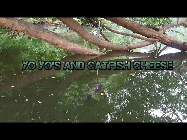 Watch How to catch catfish with yo yos and catfish cheese on YouTube.