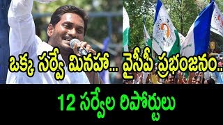 Almost All Exit Polls Surveys Are Positive To The Ysrcp Nidhi Tv