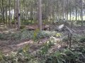 Pikat Ayam Hutan Rs 2 images Pikat Ayam Hutan Rs 2