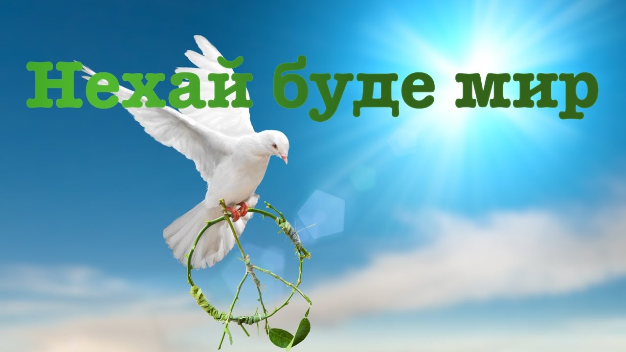 Голубь мира на фоне неба