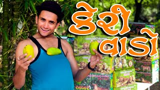કેરી વાળો || dhaval domadiya