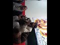Siddiq akbar ki beti ko nabi K Ghar Khuda laayaTahir Rasheed Rasheedi