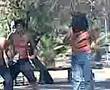 la abeja miope con los tigres