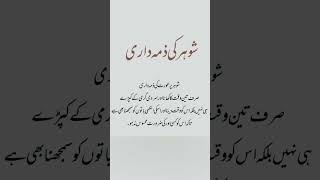 Ki Zimedari Ki Batain