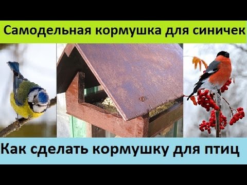 Кормушка для воробьев как сделать Кормушка для воробьев как сделать