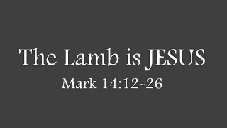 The Lamb is JESUS - Sunday Worship 8/22/2021
