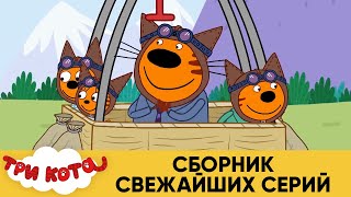 Видео Три Кота | Сборник свежайших серий | Мультфильмы для детей ?⚽? от СТС, Кота, Индия