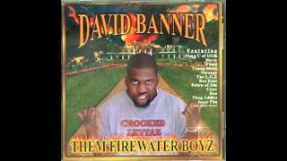 Watch David Banner If I Had A Choice video