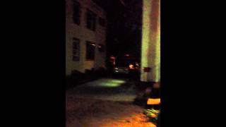 Common Nighthawk Alarm Vocalization