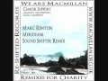Marc Renton - Meridini (Sound Shifter Remix).wmv