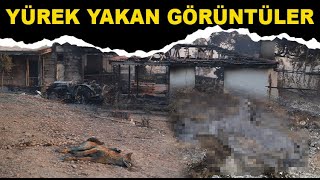 Manavgatta Yürek Yakan Görüntü