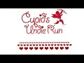 The Cupid's Undies Run, DC --2014 Race Start.