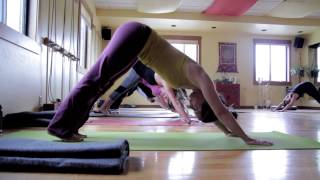 Yoga Teacher Training in Jackson Hole with Adi Amar and Angela Tong