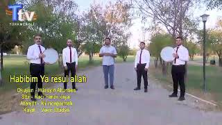 حبيبم يارسول الله حسين التون ساس