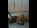 impossible situp prank..marine corps style