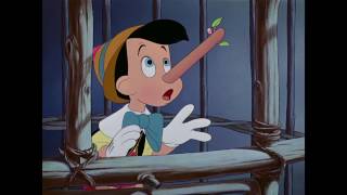 Pinocchio's Lie