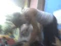 jazmin y julieta 'XXX'